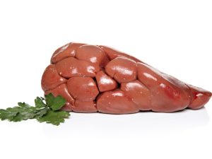 Beef Kidney